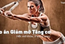Giáo án giảm mỡ tăng cơ cho nữ hiệu quả trong 1 tuần Giáo án giảm mỡ tăng cơ cho nữ trong 2 tuần